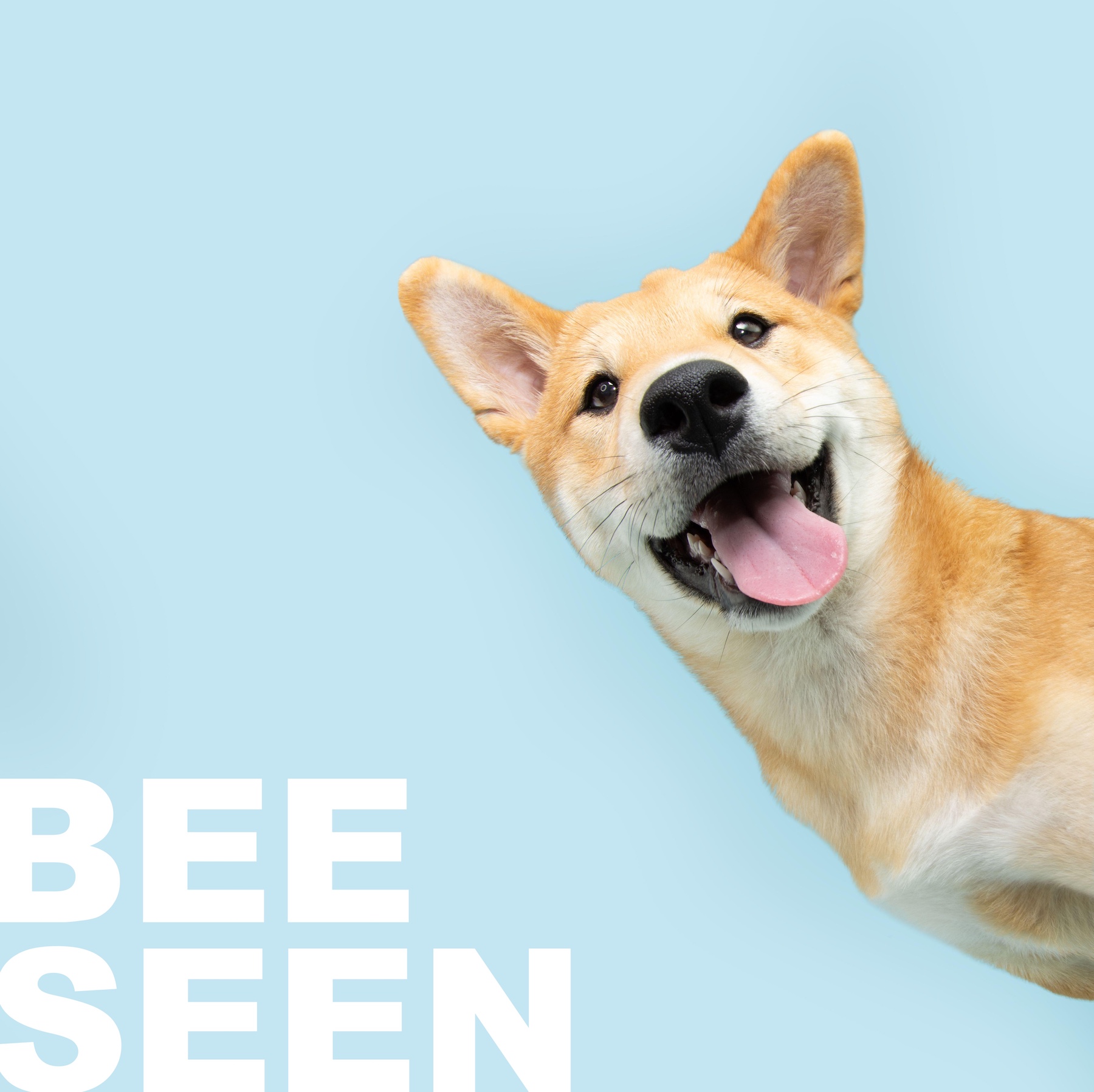Advertisement image