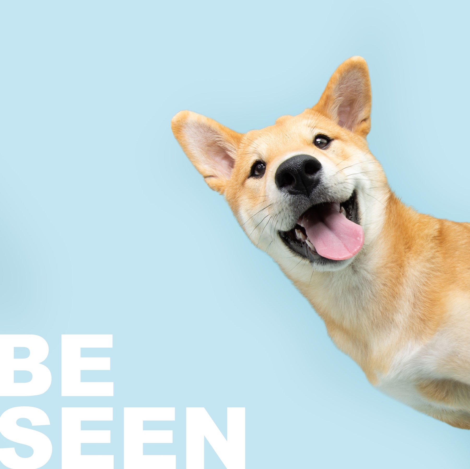 Advertisement image