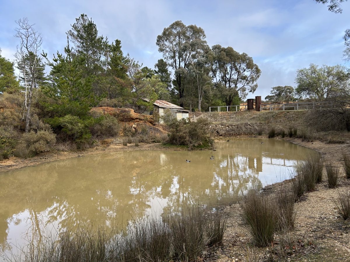 Gold Diggings, Castlemaine
