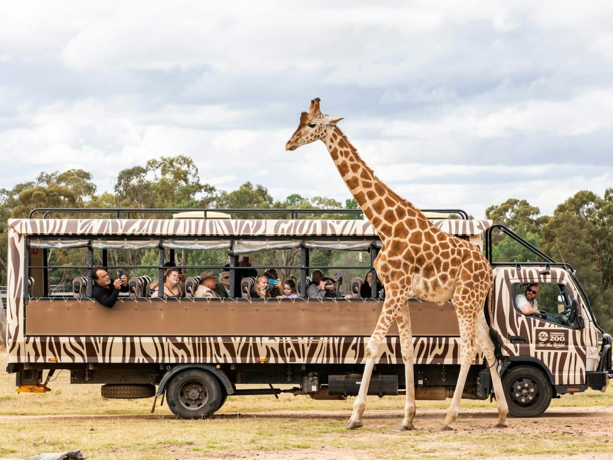 Dubbo Zoo NSW