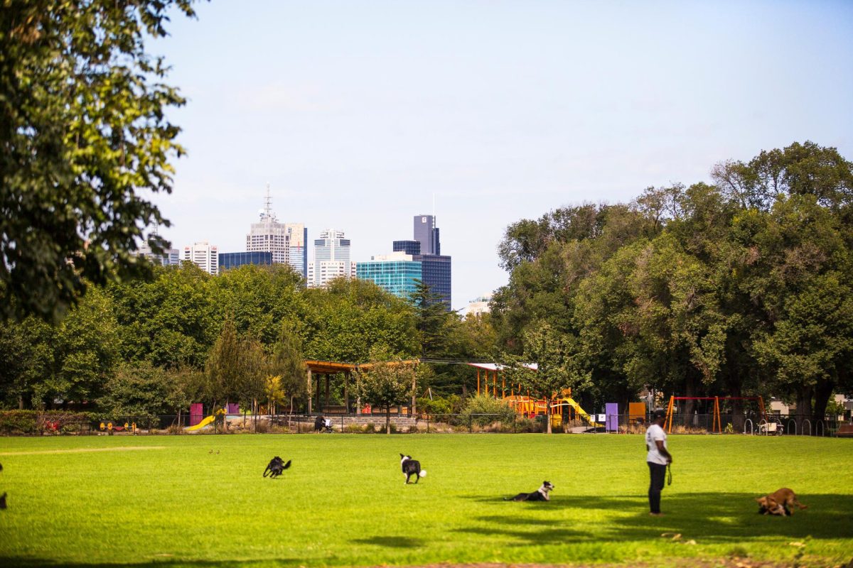 Dogs enjoying Edinburgh Gardens, North Fitzroy