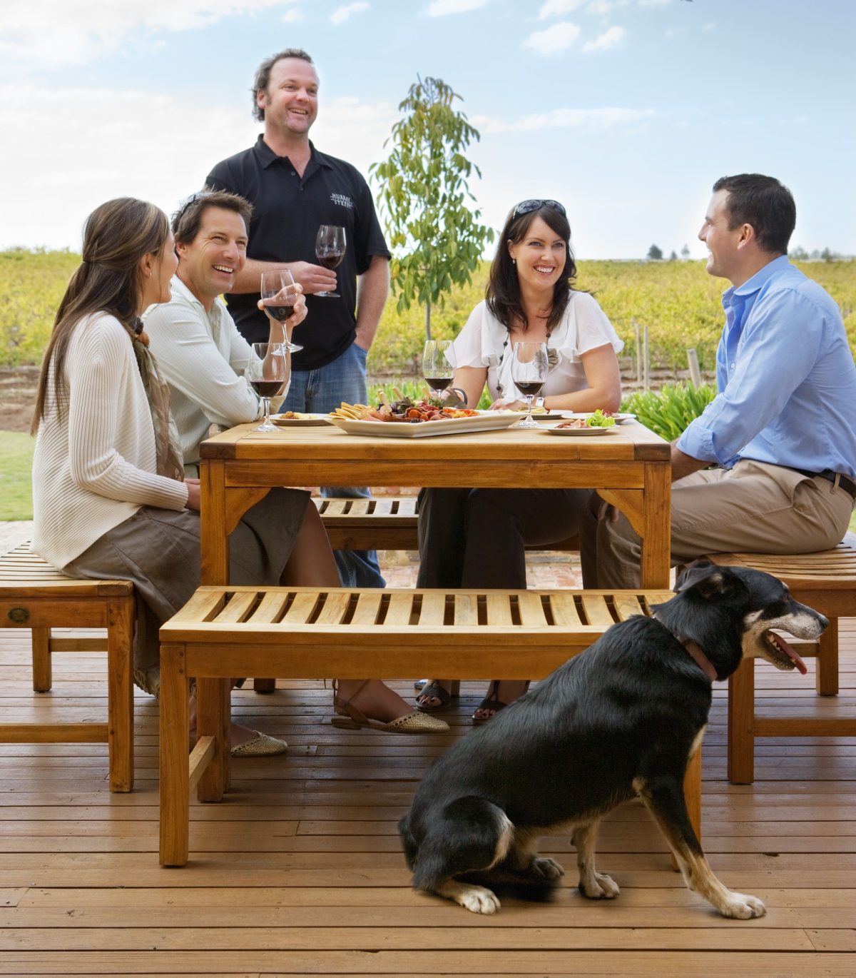 Dog-friendly wine tasting at Murray Street Vineyards