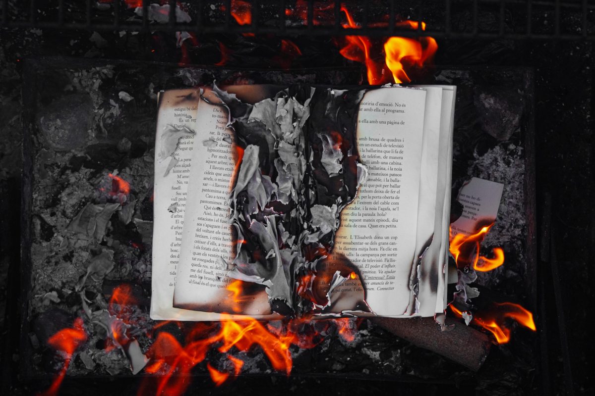 Burning book