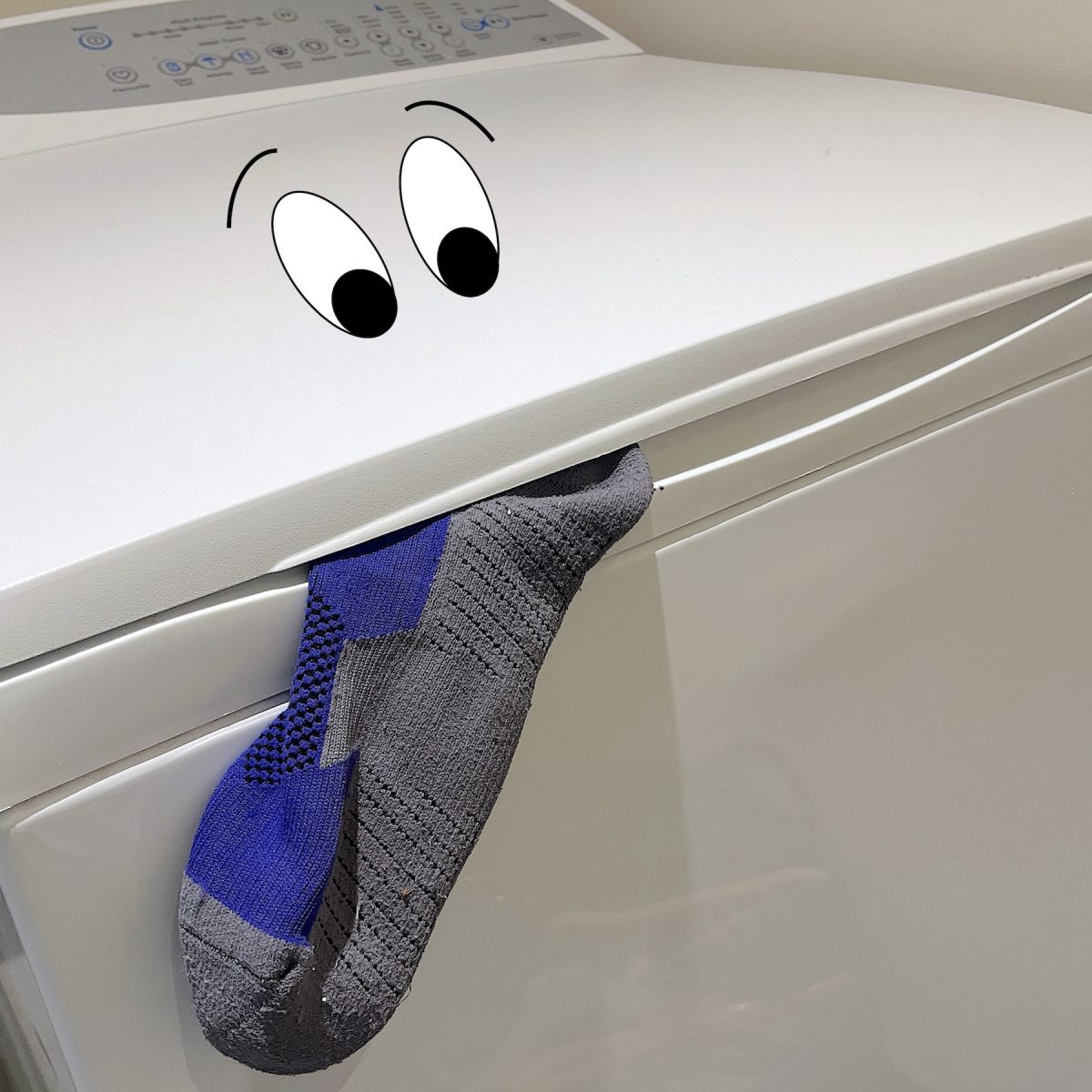 Sock Fairy