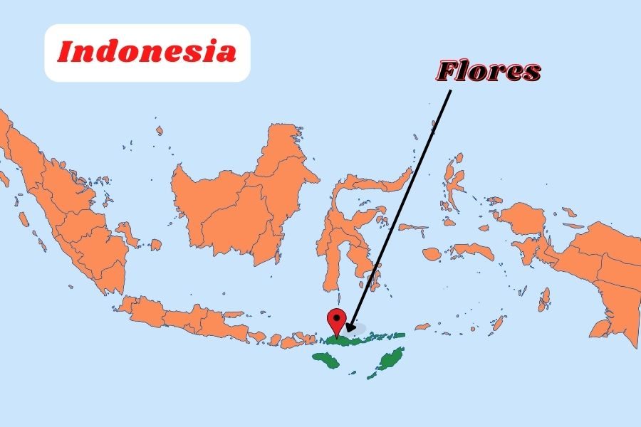 Flores - Indonesia