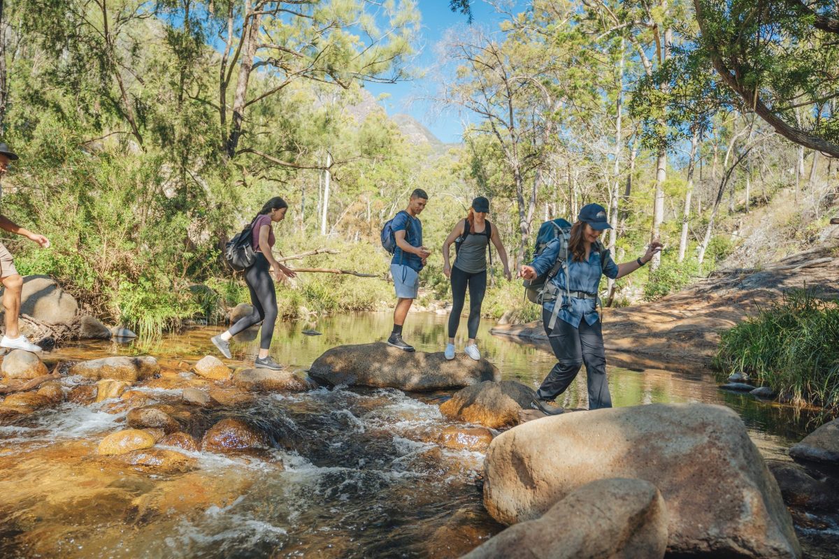 Bushwalkers at Mount Barney National Park, Scenic Rim