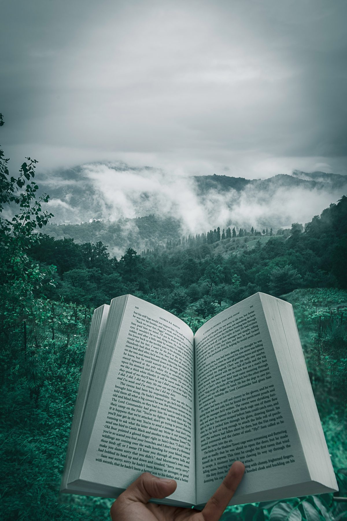 kourosh-qaffari-book-unsplash