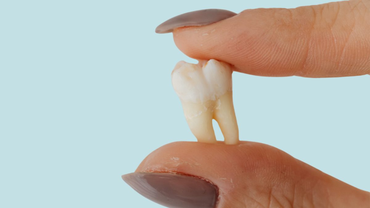 holding-tooth
